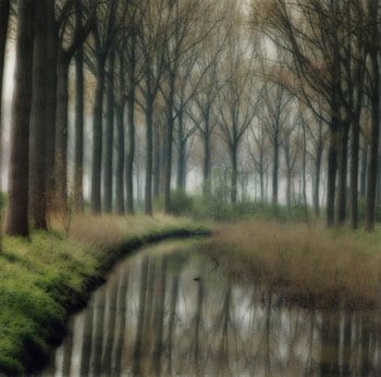 Damme, Belgium, 2004 (4-04-5c-4), 19 x 19 and 28 x 28 inch Chromogenic print, Edition of 15 per size