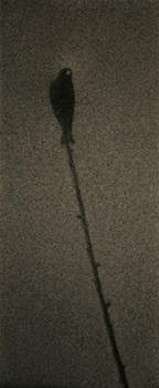 &quot;Untitled #1601,&quot; 2010, Gelatin Silver print, 11.25 x 4.75 inches, ed. of 20