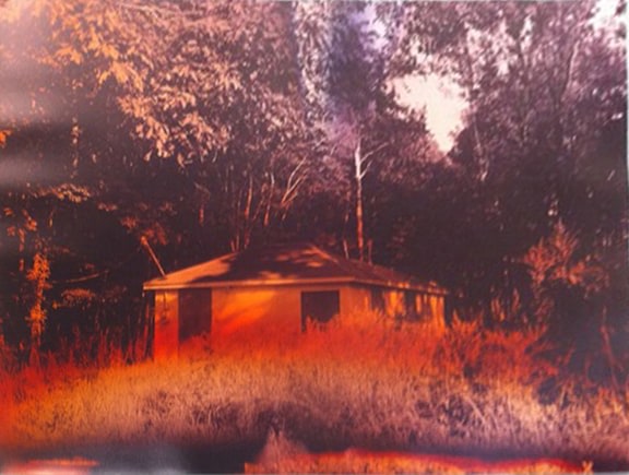 Interstate House (Spring), from the series Wildlife Analysis, 2010, 40 x 30 inch unique chromogenic print