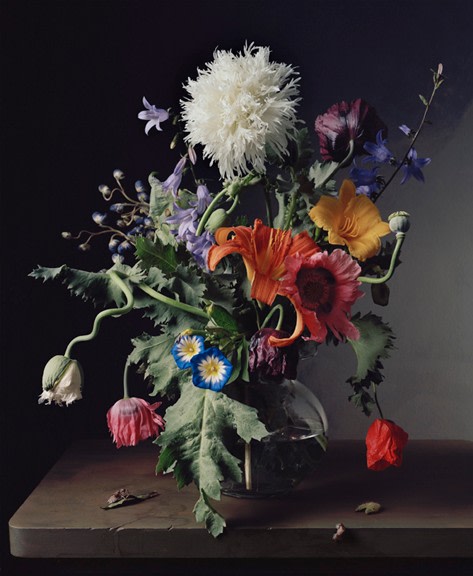 Photograph by Sharon Core titled 1665 from the series 1606-1907 of a floral still life arranged in the style of a classical painting