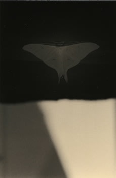 &quot;Untitled #1597,&quot; 2010, Gelatin Silver print, 9.5 x 6.25 inches, ed. of 20
