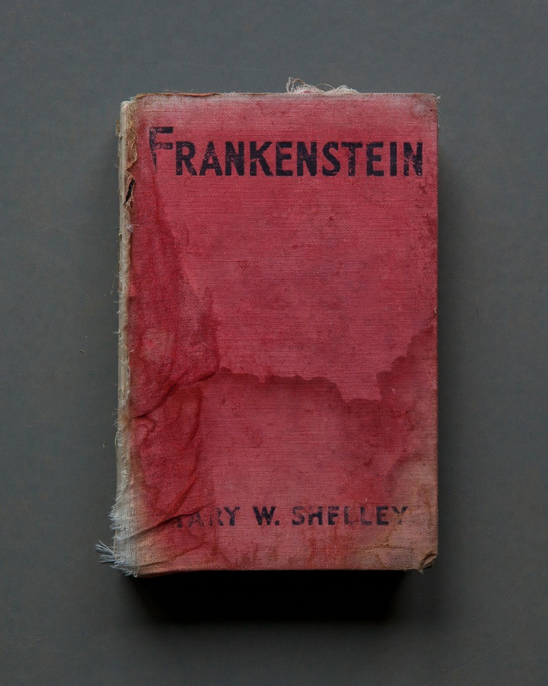 Mary Ellen Bartley,&nbsp;Frankenstein, 2017, from the series&nbsp;Reading Grey Gardens. Archival pigment print, 20 3/4 x 17 inches.&nbsp;