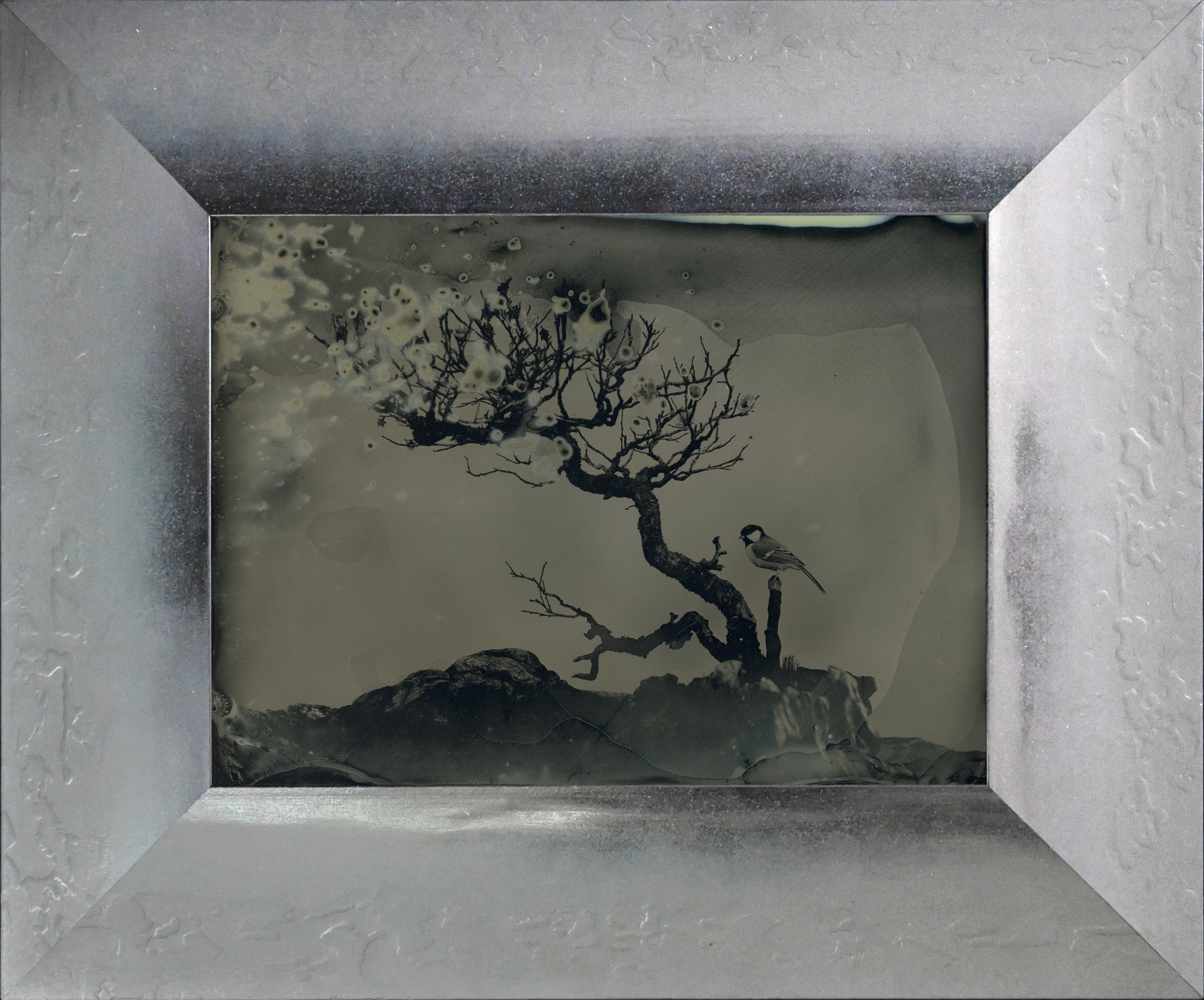 Yamamoto Masao,&nbsp;Untitled (AM #14), 2023. Unique collodion ambrotype, image size: 5 1/8 x 7 inches, frame size: 8 7/8 x 10 11/16 inches.