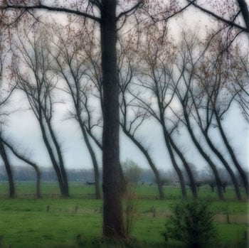 Damme, Belgium, 2004 (4-04-8c-11), 19 x 19 and 28 x 28 inch Chromogenic print, Edition of 15 per size