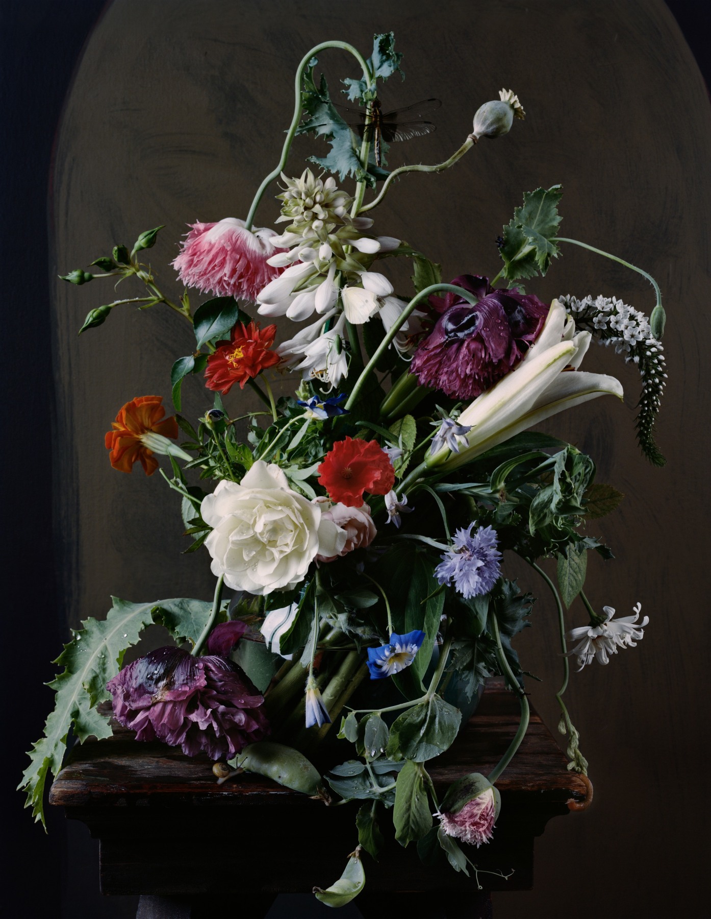 Photograph by Sharon Core titled 1720 from the series 1606-1907 of a floral still life arranged in the style of a classical painting