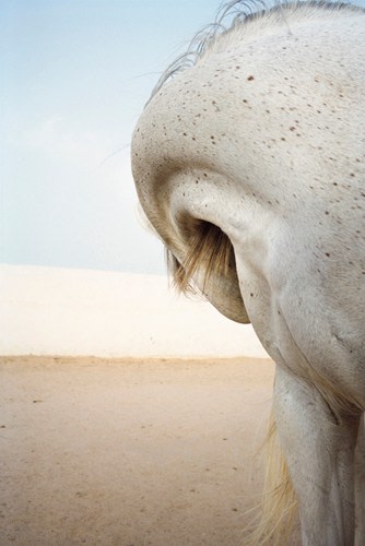 Untitled, 2011 Frame: 22 x 16 inches / Image: 17 x 11 inches Archival pigment print Edition of 8