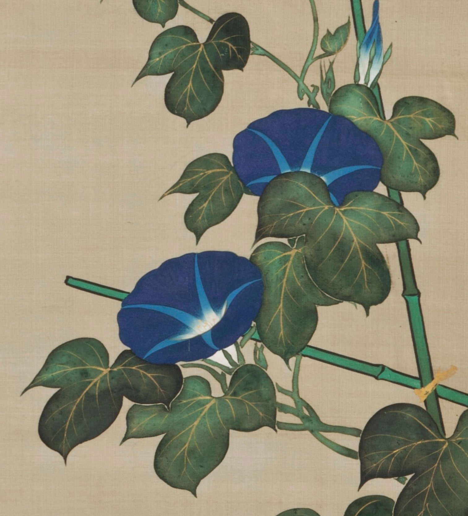 Suzuki Kiitsu - Pair of paintings of morning glories and a bottle gourd ...