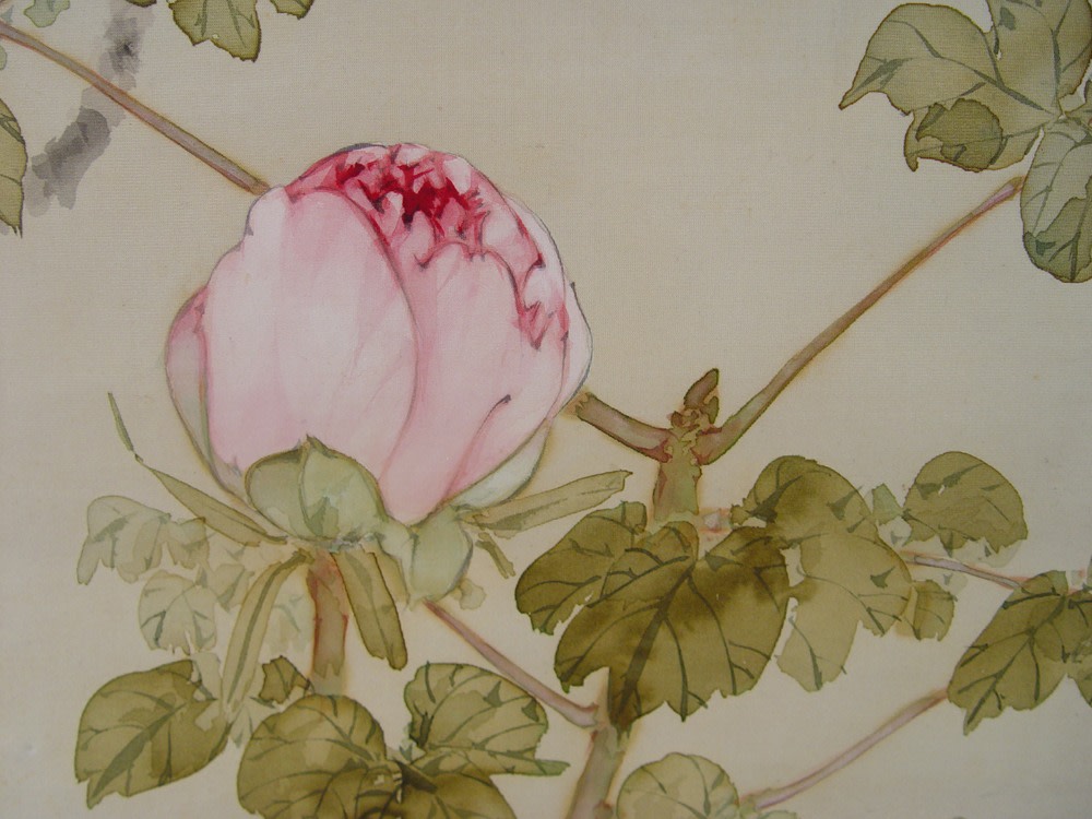 Watanabe Seitei - Blossoming pink peonies with white butterfly - Artworks - Joan B Mirviss LTD | Japanese Fine Art | Japanese Ceramics