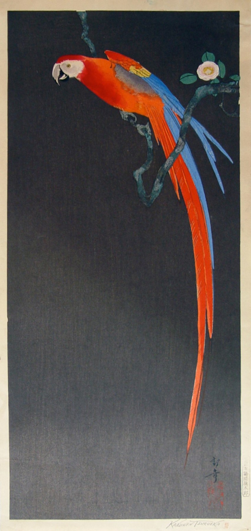 Tsuruoka Kakunen (1892-1977), Parrot on flowering branch