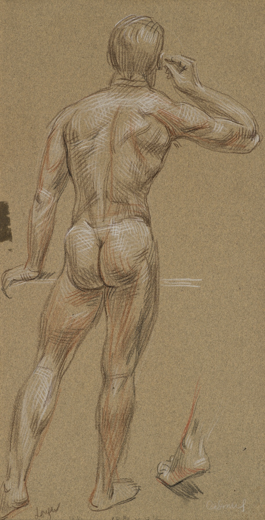 Study for the Bath, c. 1951. Crayon on paper 18 1/2 x 9 1/2 inches