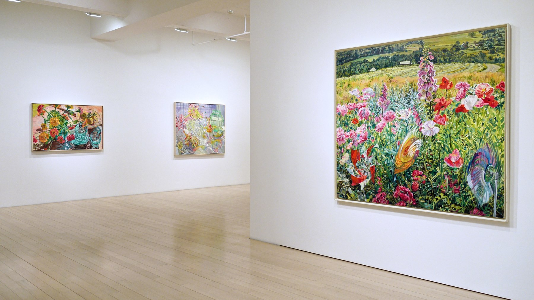 Installation view of&nbsp;Janet Fish: Panoply, 2014