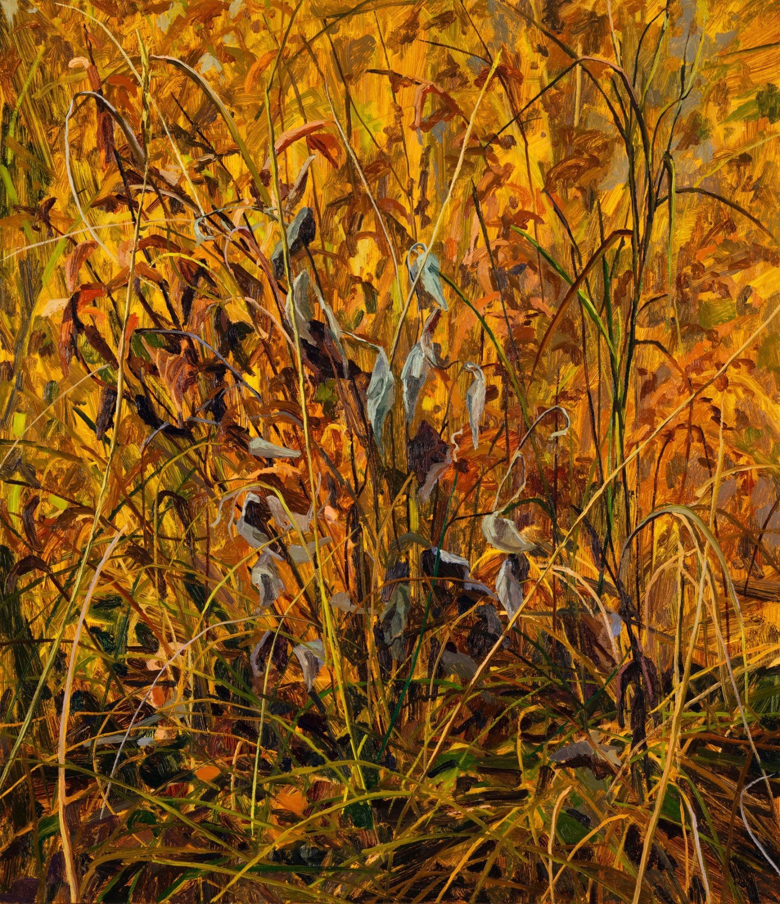 Claire Sherman, Grass and Leaves, 2021. Oil on canvas, 30 x 26 inches