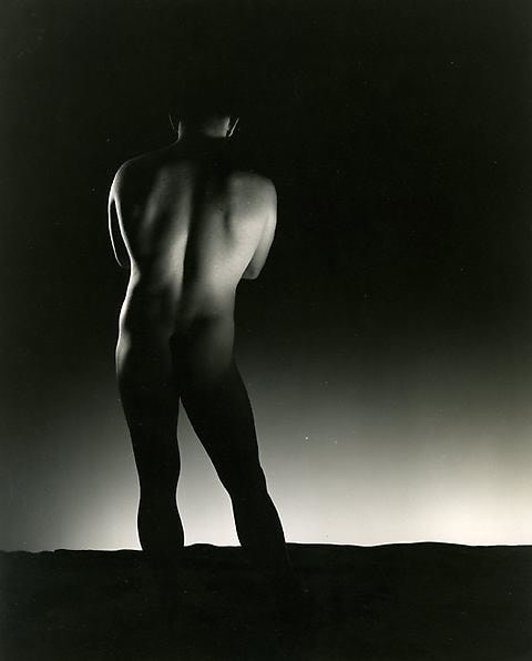 Male Nude Back View, n.d.