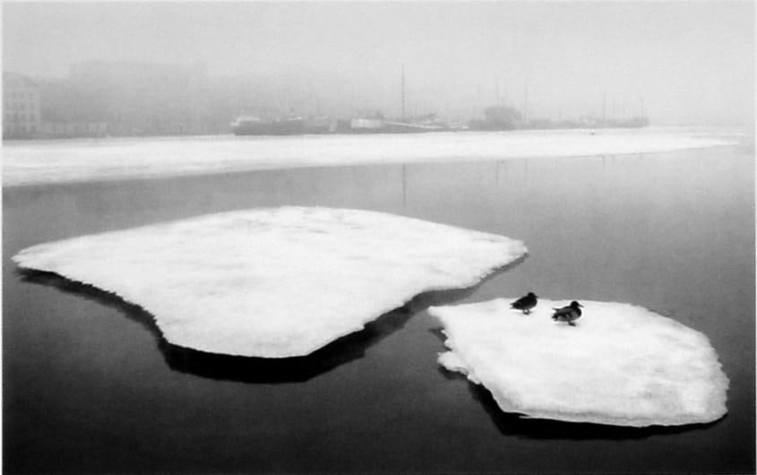 Pentti Sammallahti Helsinki, Finland (ducks on broken ice), 1973