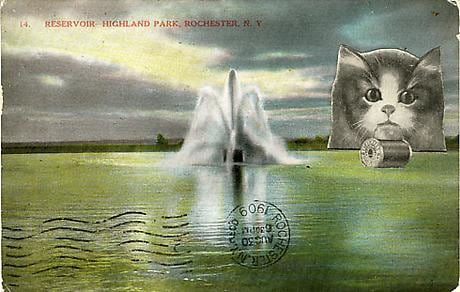 John Ashbery Reservoir Cat