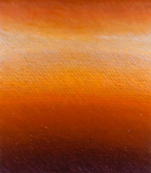 , Joan Vennum, Unsuspecting Region, 2005, oil on canvas, 80 x 70 inches/203.2 x 177.8 cm