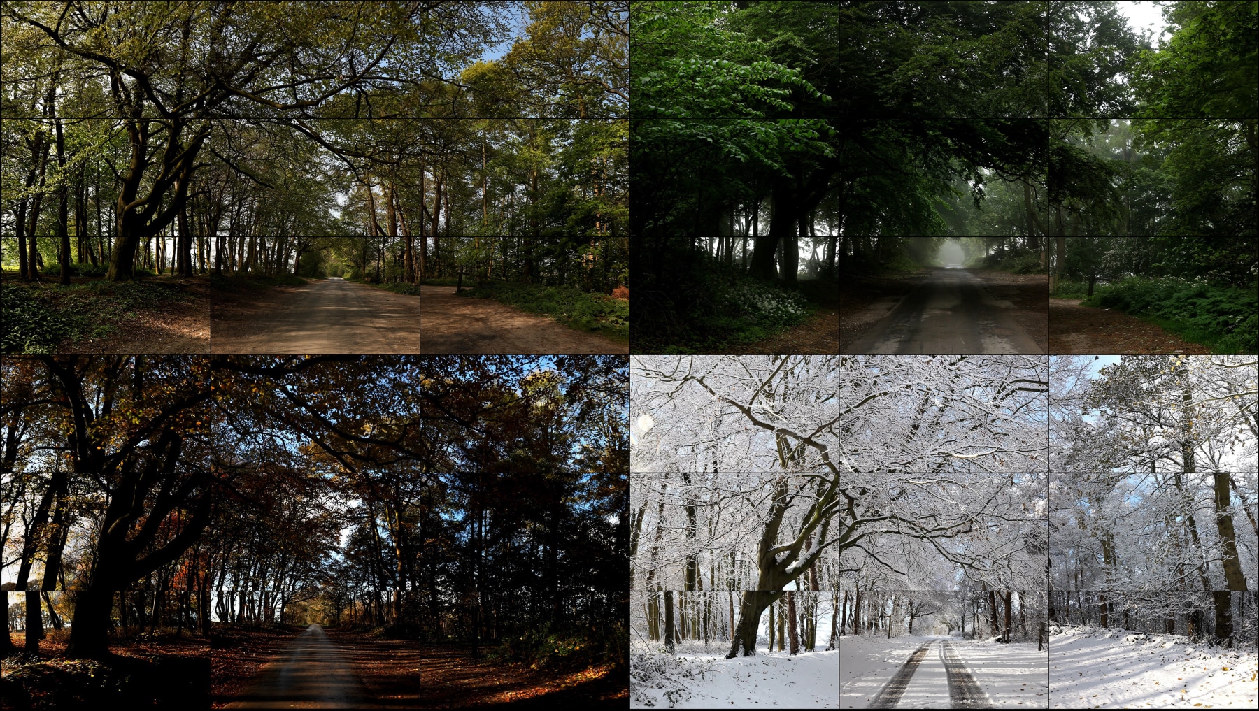 David Hockney, The Four Seasons, Woldgate Woods (Spring 2011, Summer 2010, Autumn 2010, Winter 2010),&nbsp;2010-2011
