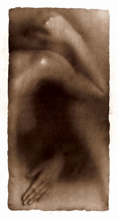 Osmosis, Untitled #9905465, 1999, 40 x 20 Silver Gelatin Photograph, Copper, and Glass, Ed. 10