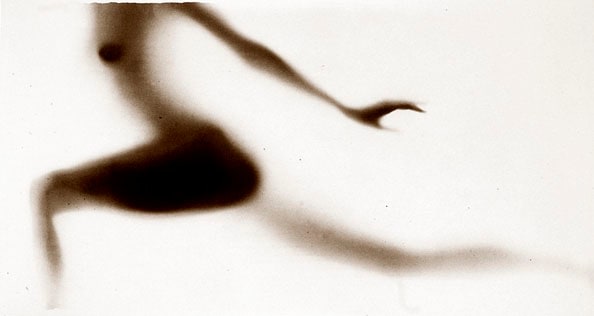 Osmosis, Untitled #0003441, 20 x 40 Silver Gelatin Photograph, Copper, and Glass, Ed. 10