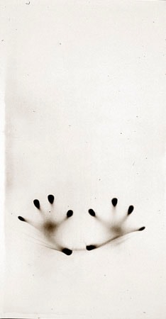Osmosis, Untitled #0003437, 40 x 20 Silver Gelatin Photograph, Copper, and Glass, Ed. 10