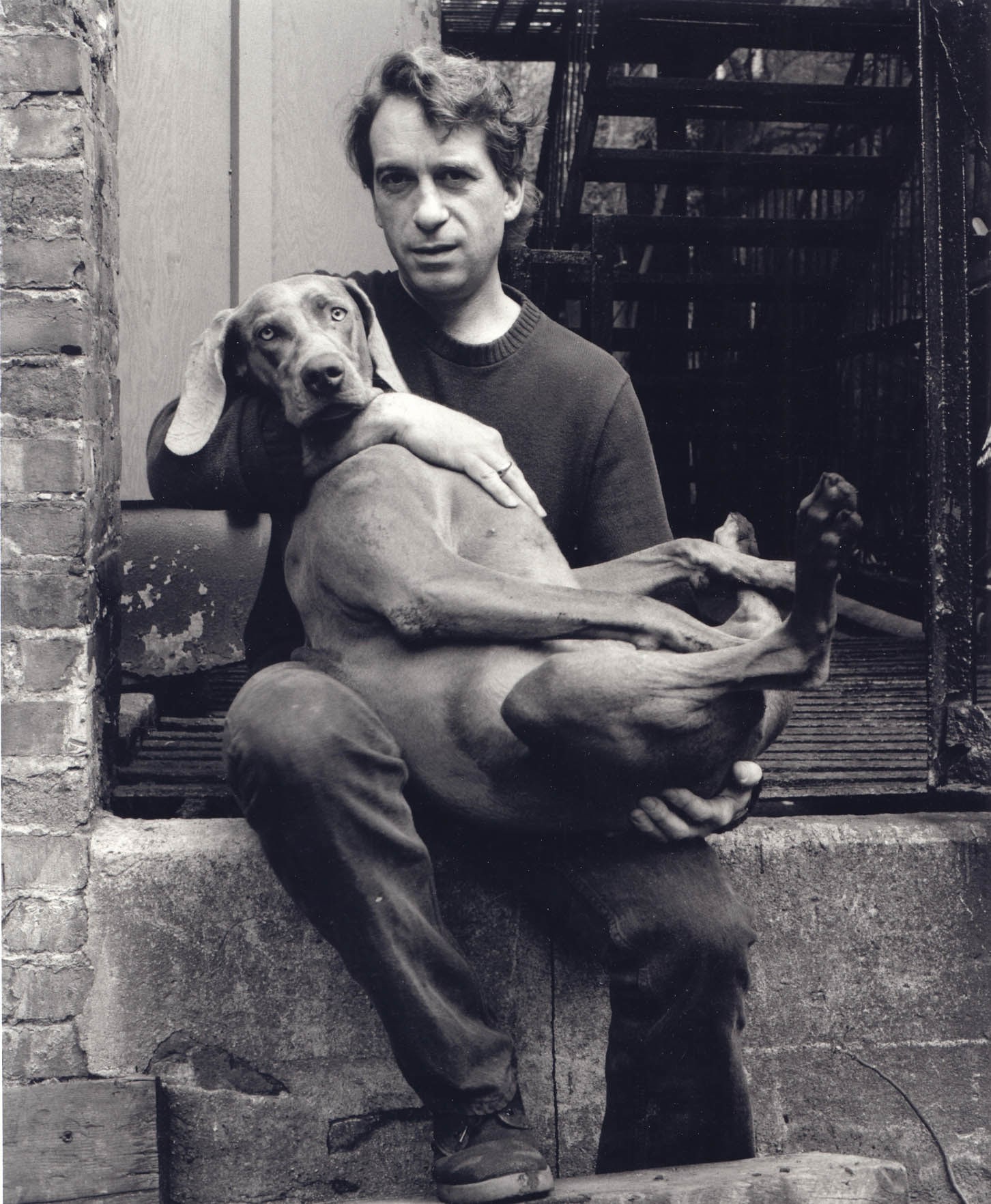 William Wegman, New York City, 1986, 10 x 8 Silver Gelatin Photograph