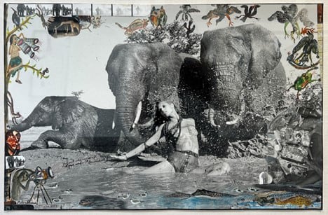 Peter Beard, Botswana (Pirelli), 2008/2012