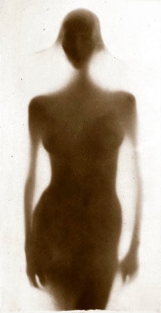 Osmosis, Untitled #9904278, 1999, 40 x 20 Toned Silver Gelatin Photograph, Copper, and Glass, Ed. 10