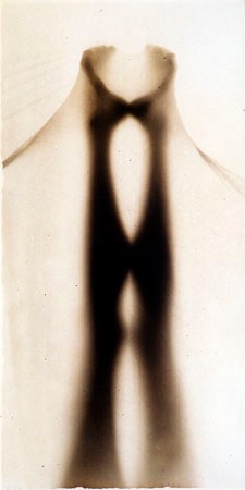 Osmosis, Untitled #9905332, 1999, 40 x 20 Silver Gelatin Photograph, Copper, and Glass, Ed. 10