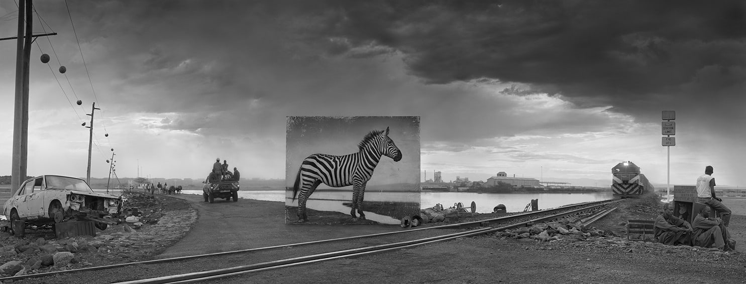 Road to Factory with Zebra, 2014, Archival Pigment Print