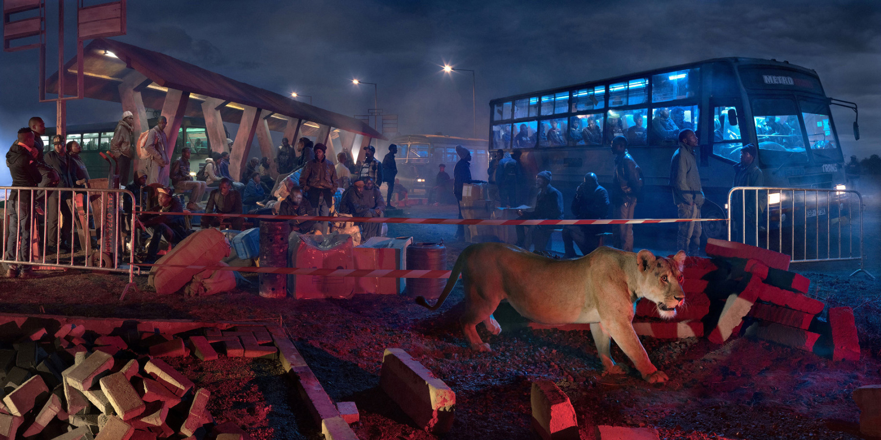 Bus Station with Lioness, 2018, Archival Pigment Print