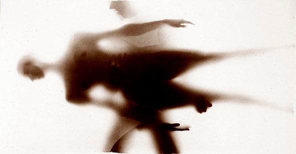 Osmosis, Untitled #9904278, 1999, 40 x 20 Toned Silver Gelatin Photograph, Copper, and Glass, Ed. 10
