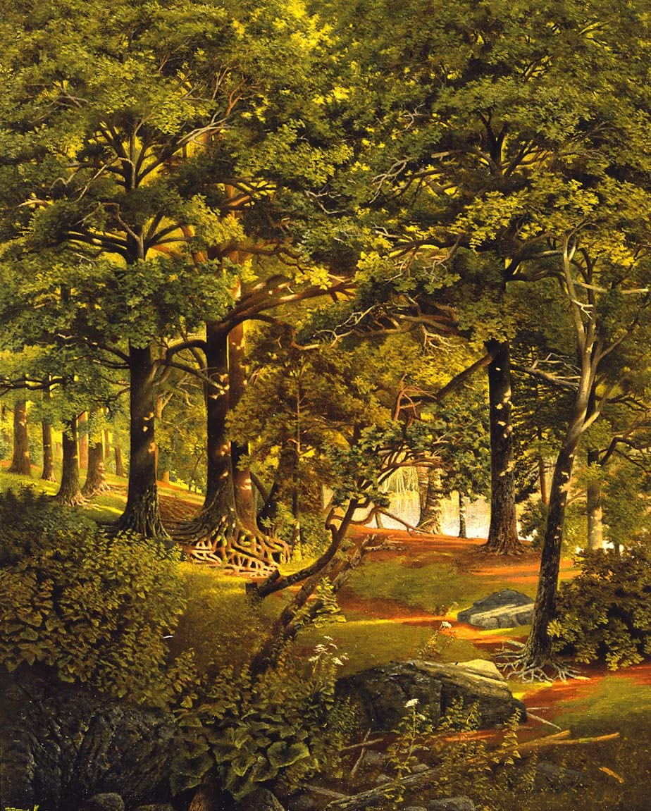 Forest with Glimpse of a River, about 1890&ndash;91