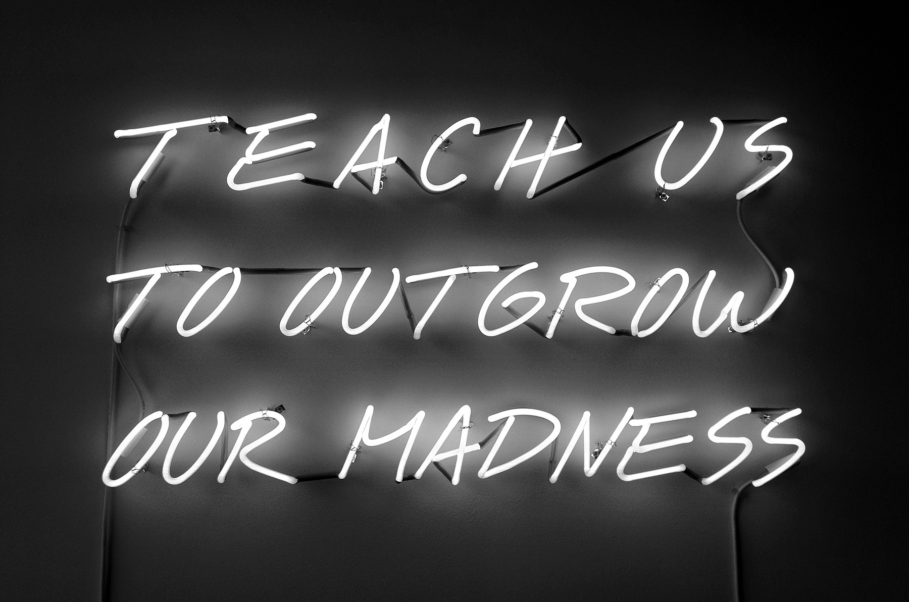 Alfredo Jaar, Teach Us To Outgrow Our Madness, 1995