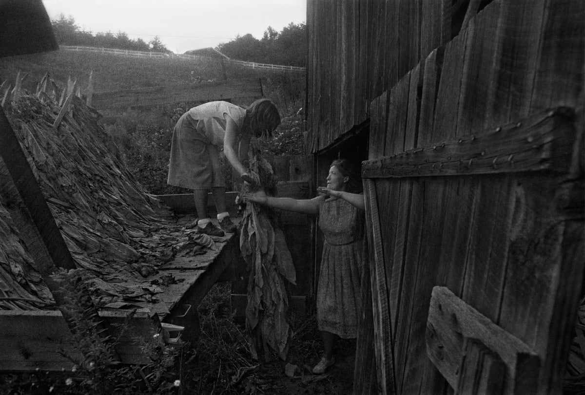 Rob Amberg, Angie and Juanita Shelton Unloading Tobacco, Hopewell, Madison County, NC, 1983, Archival Pigment Print, 13 1/2h x 20w in, Edition of 12