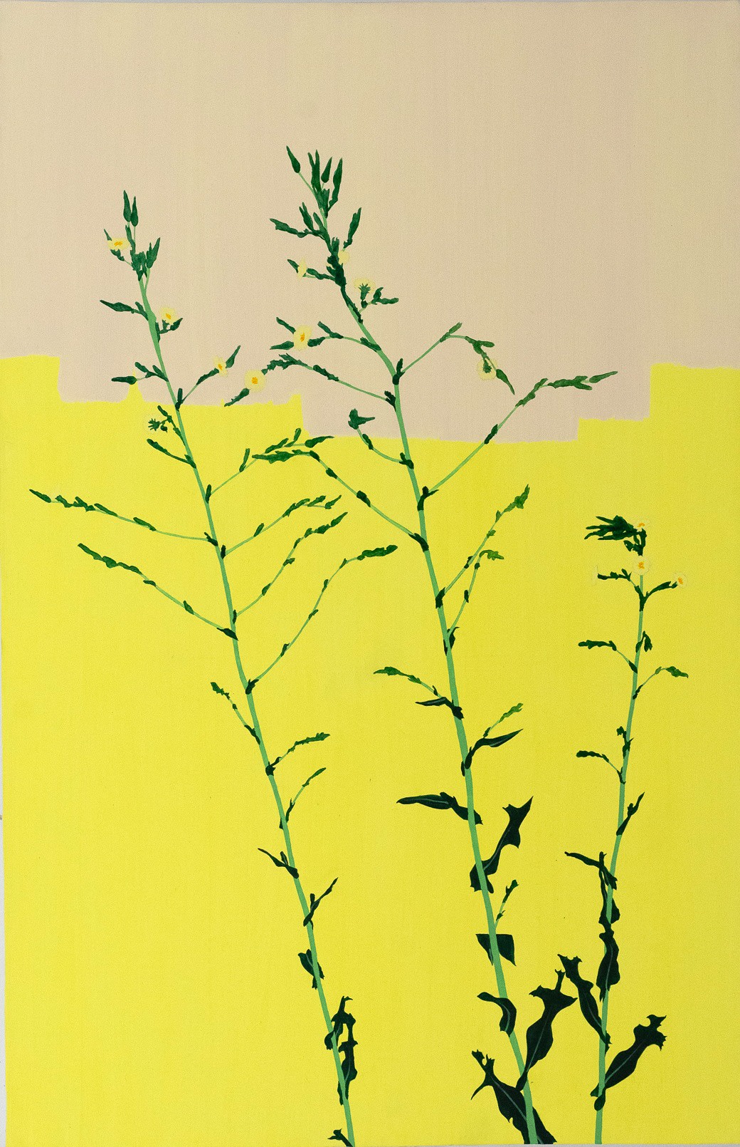 Hannah Cole  Life After a Hard Winter (Yellow on Yellow Weed), 2017  Acrylic on canvas  37h x 24w in 93.98h x 60.96w cm  HC_031 Photorealistic painting