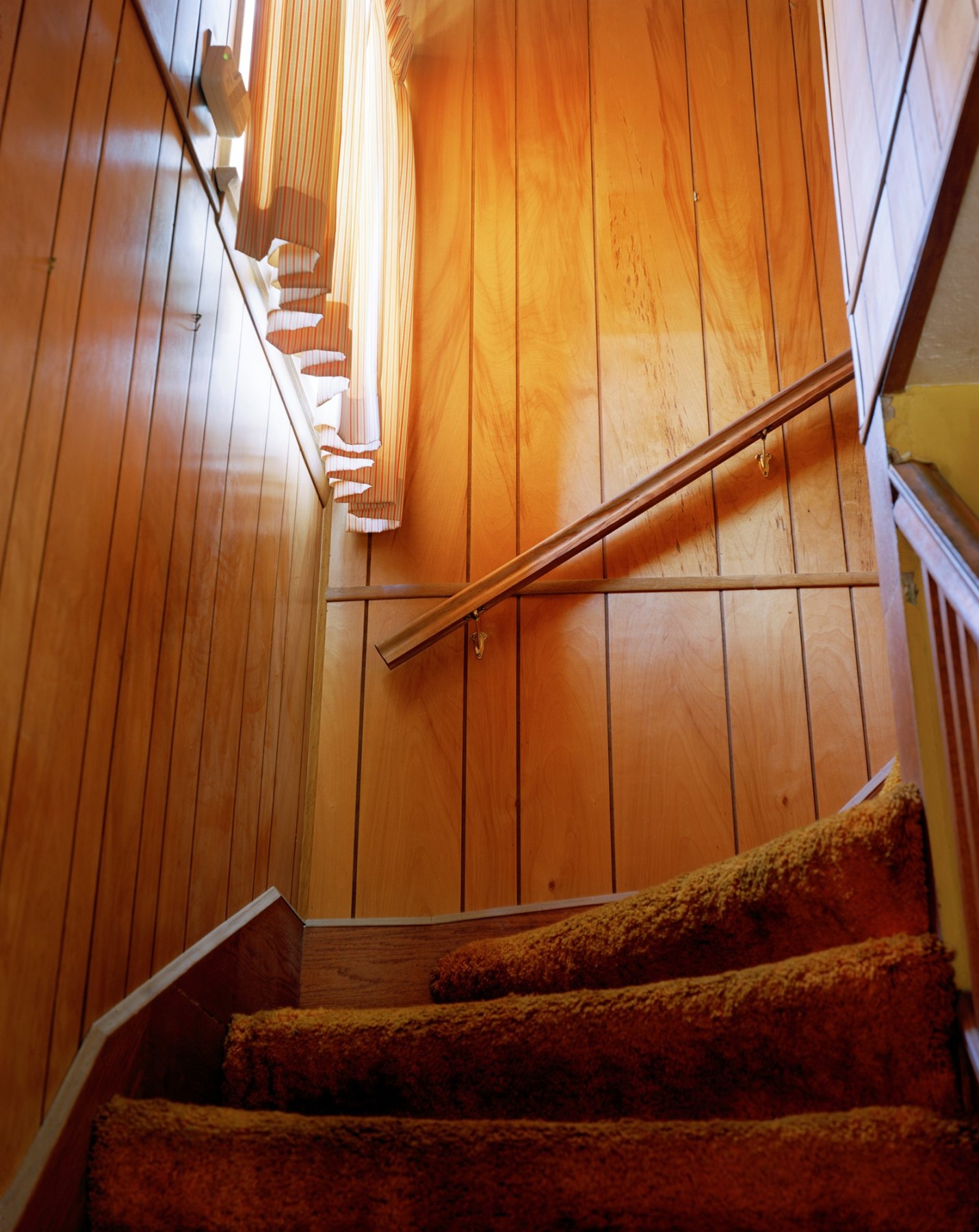 Photograph looking up carpeted stairs with faux wood panel walls, by Jade Doskow