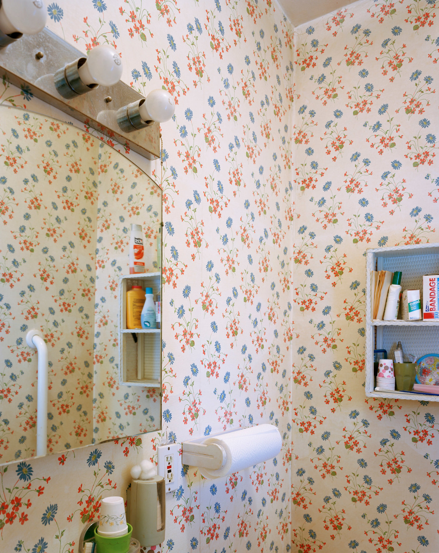Photograph of bathroom interior with patterned wallpaper, by Jade Doskow