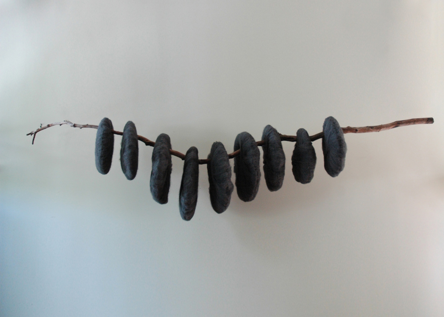 Molly Sawyer Steel Vertebrae, 2016/17 Steel wool, tree branch, wire Dimensions variable, sculpture