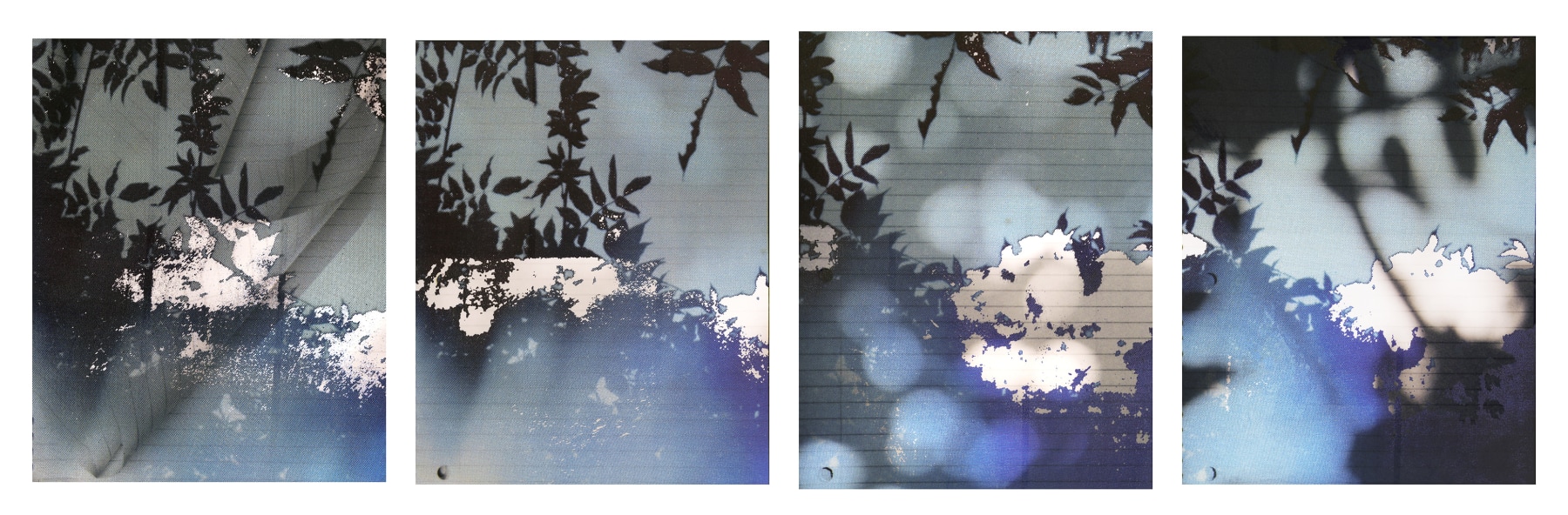 Bryan Graf  Garden Notes, 2018  Archival Pigment Inkjet Print  15 1/2h x 48w in