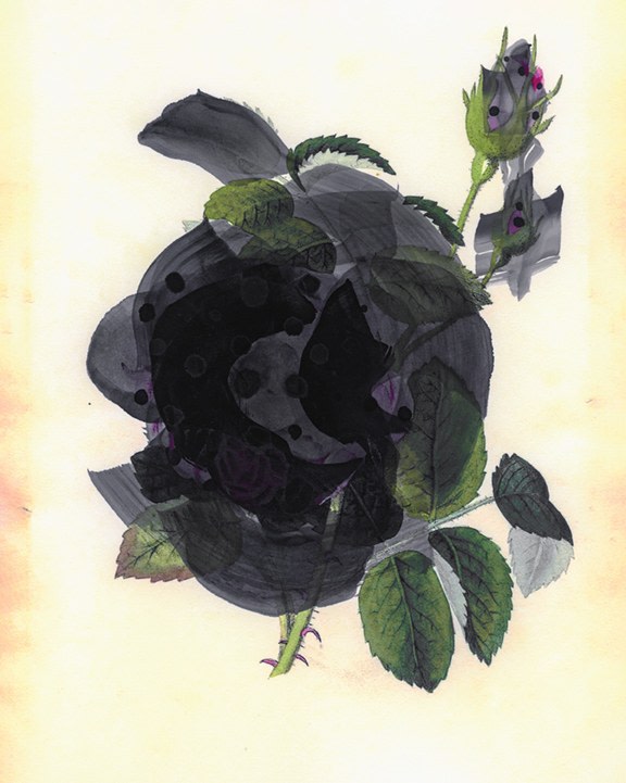 Photograph of flower with hand painting, by James Henkel