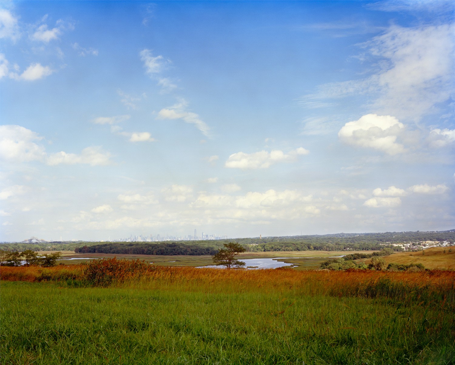 Autumn landscape with New York City Skyline in the distance, Taken from the North Mound, Looking Northeast, Freshkills, NYC