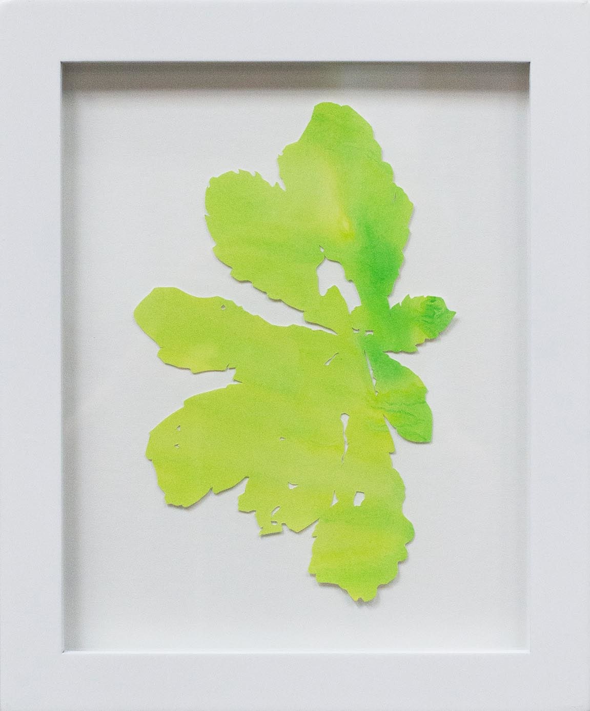 Hannah Cole  Fan-Shaped Weed, 2018  watercolor on cut paper  Framed: 10h x 8w in 25.40h x 20.32w cm  HC_063
