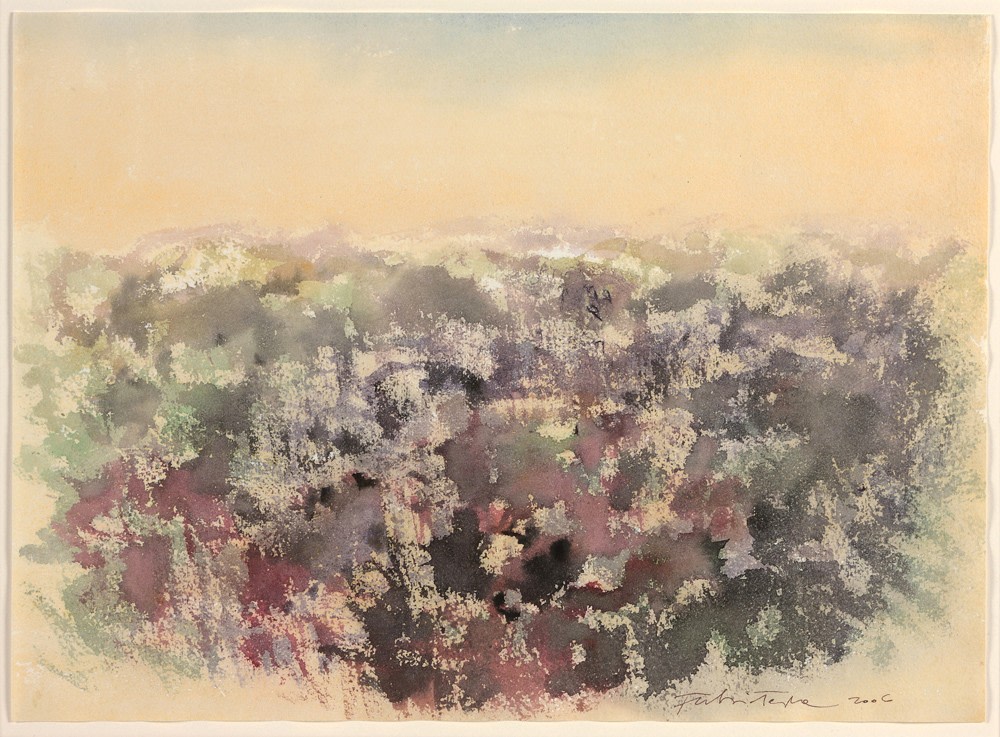Fulvio Testa  Untitled, 2006  Watercolor on paper  11 x 15 1/4 inches (28 x 38.3 cm)