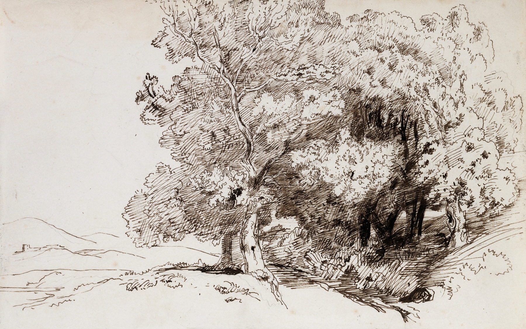 Paul Huet  A Copse of Trees with a Town in the Distance  Pen and ink on paper 8 5/8 x 13 9/16 inches