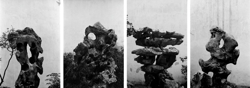 Taihu Stones 太湖石, 2006