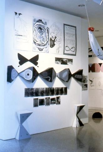 &quot;Monkey Island and Confusion,&quot; installation view, 1982. Metro Pictures, New York.