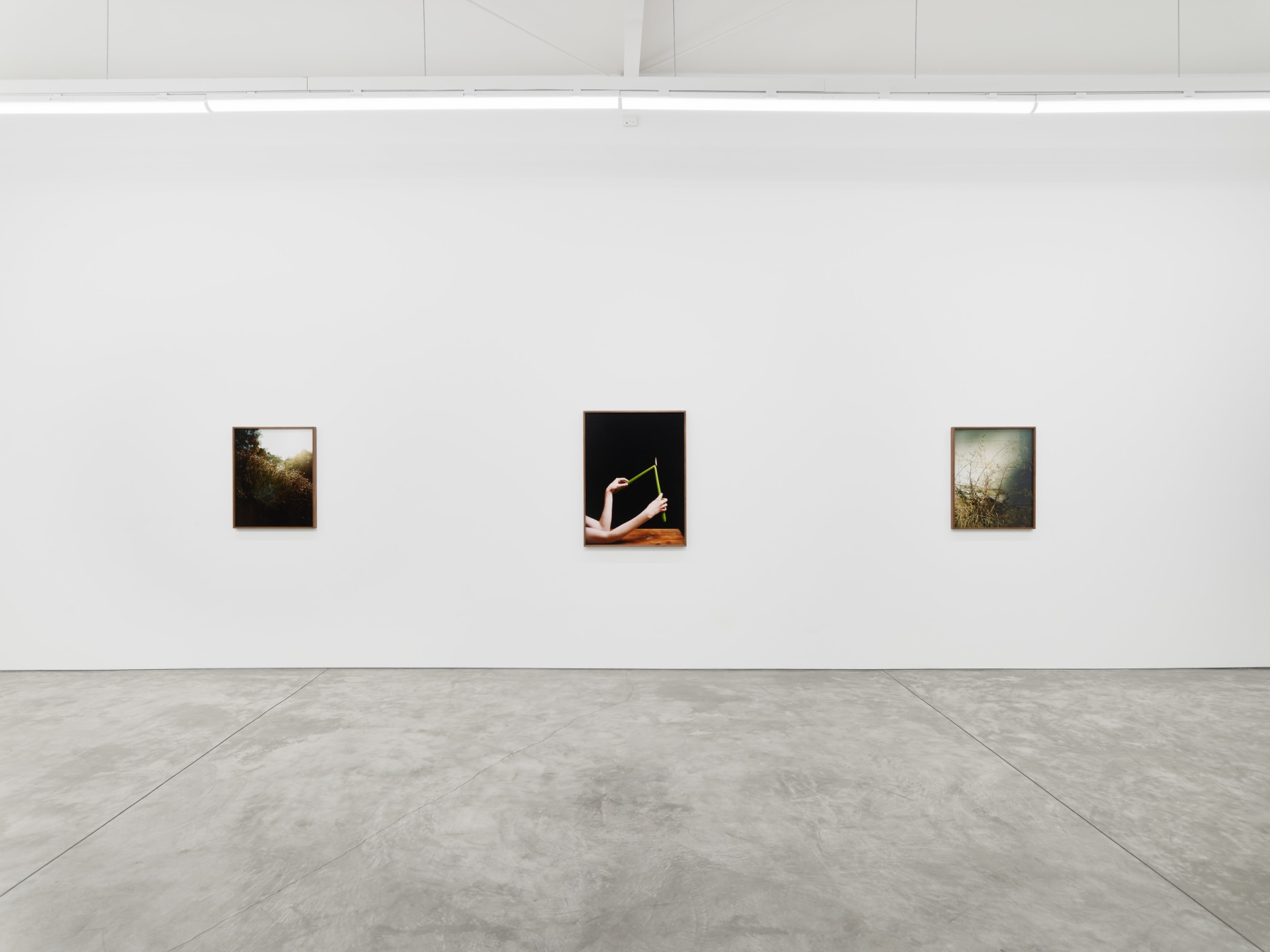Melanie Schiff, Convict Lake, installation view, 2022