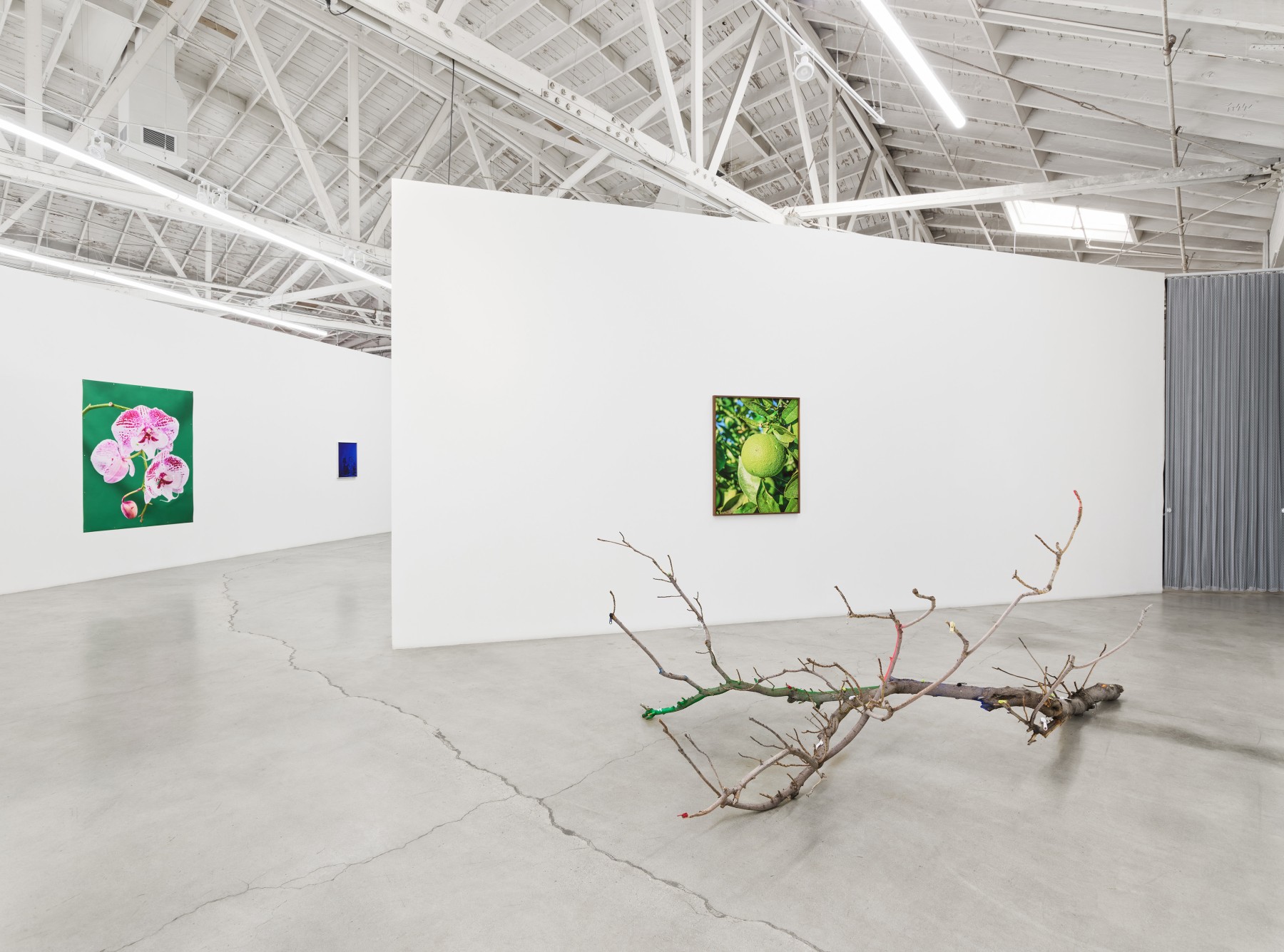 Awol Erizku, Scorched Earth, installation view, 2021