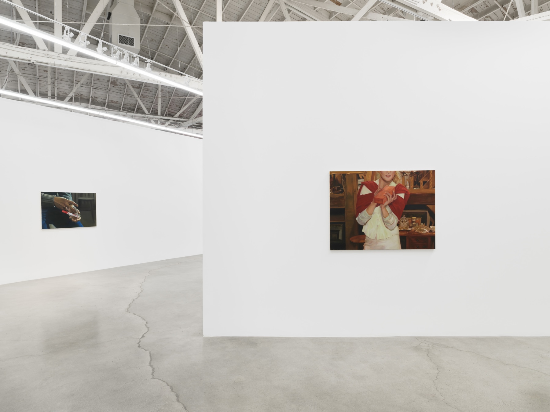 Shannon Cartier Lucy, Rubedo, installation view, 2023