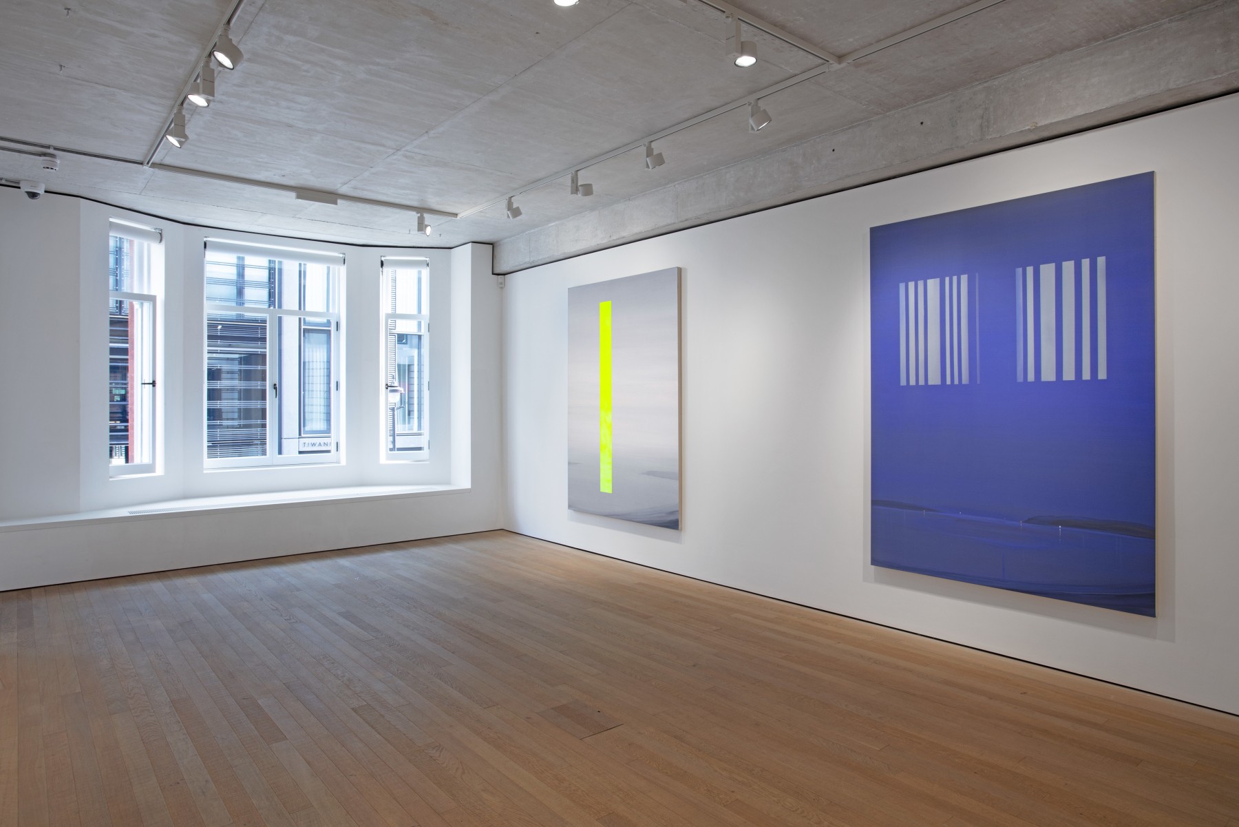Wanda Koop, Eclipse, installation view, 2023
